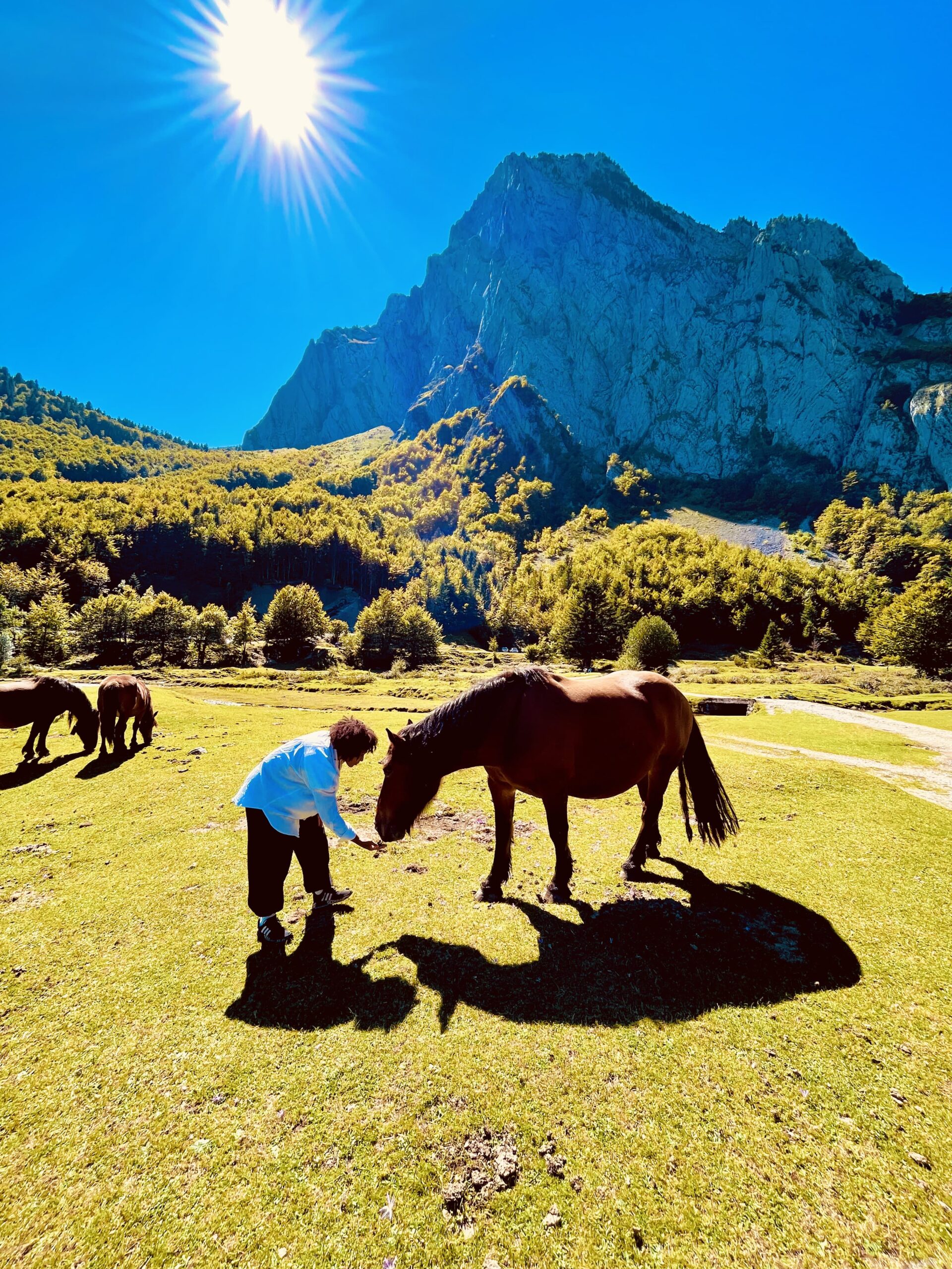 Sport4Land — COP16 Riyadh — Lutte contre la désertification